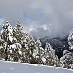 Del Pui