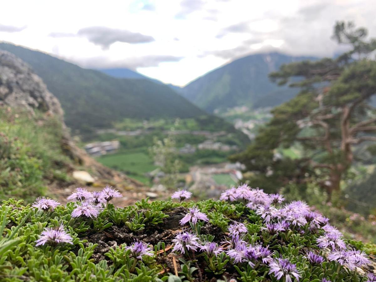 Maians - Peu Del Riu 122 - Vall D'incles - Soldeu Incles