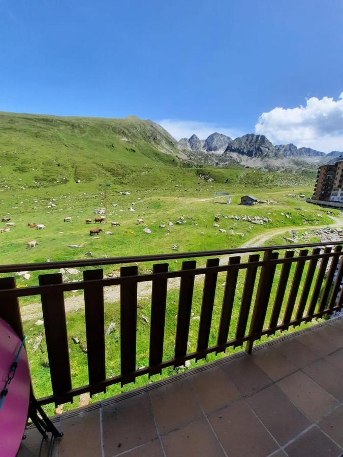 Altissim Griffon Apartament