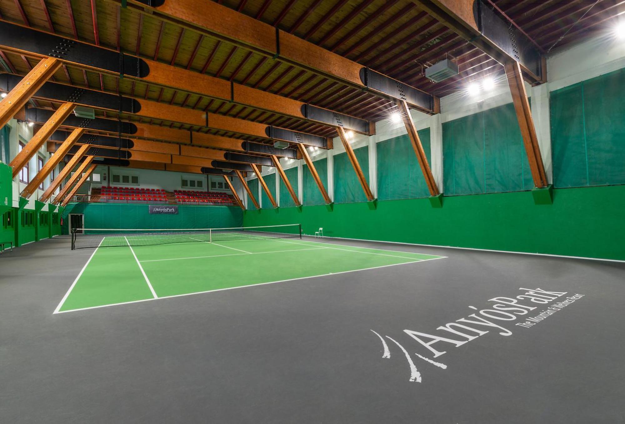 Anyospark Mountain & Wellness 4* La Massana