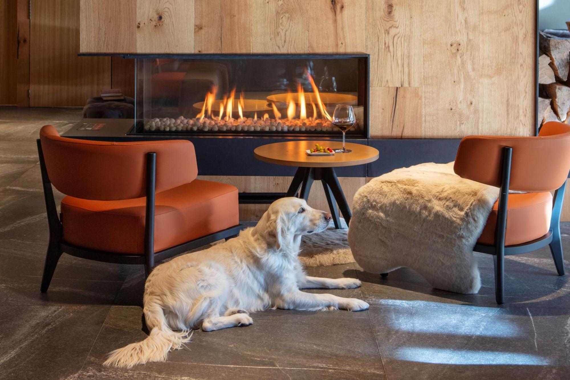 Hotel Acta Arthotel