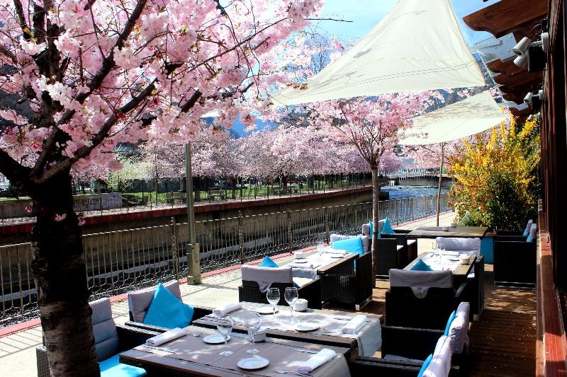 Acta Arthotel 4*
