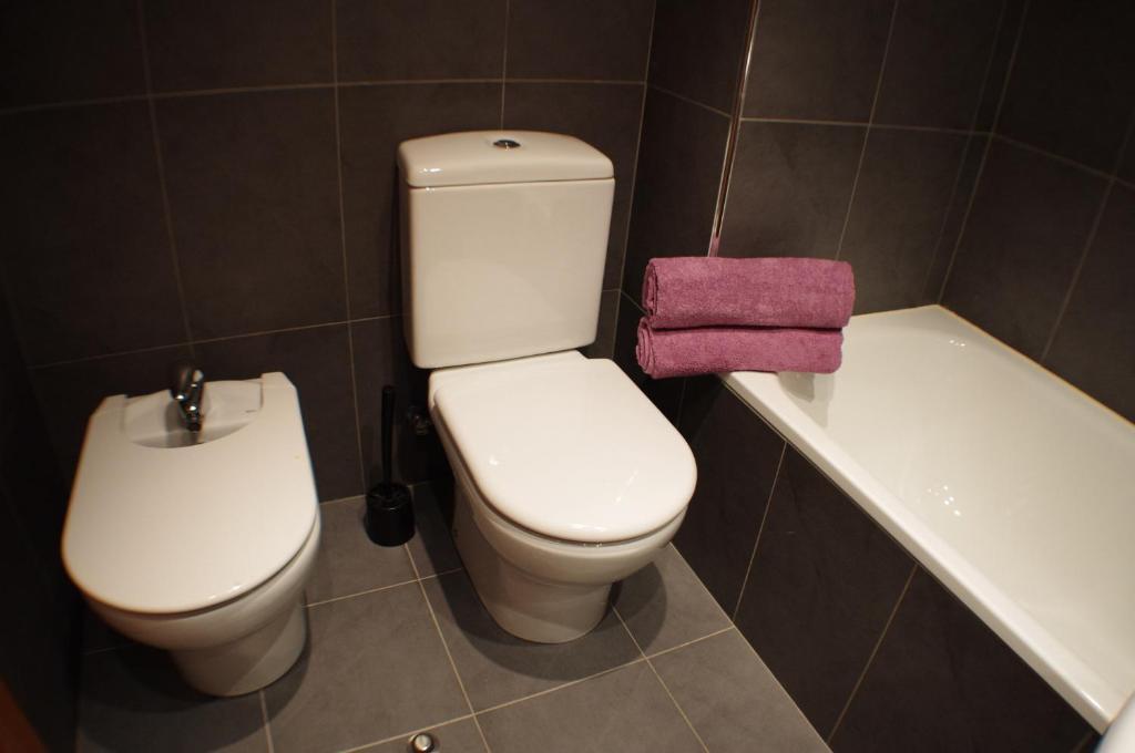 Hotel Mirador Bordes De Envalira 3*
