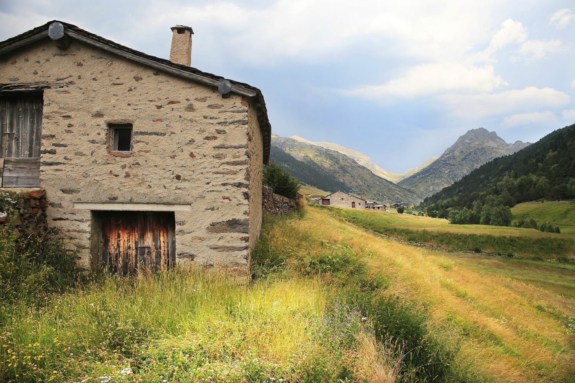 La Pleta De Apartament *
