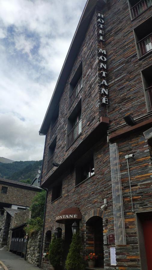 Montane