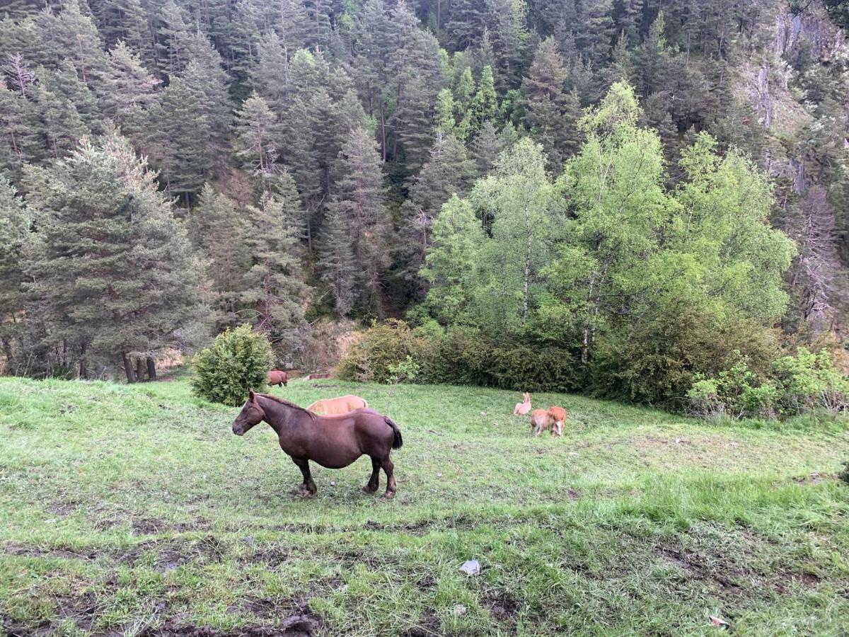 Maians - Peu Del Riu 122 - Vall D'incles - Soldeu Apartment Incles