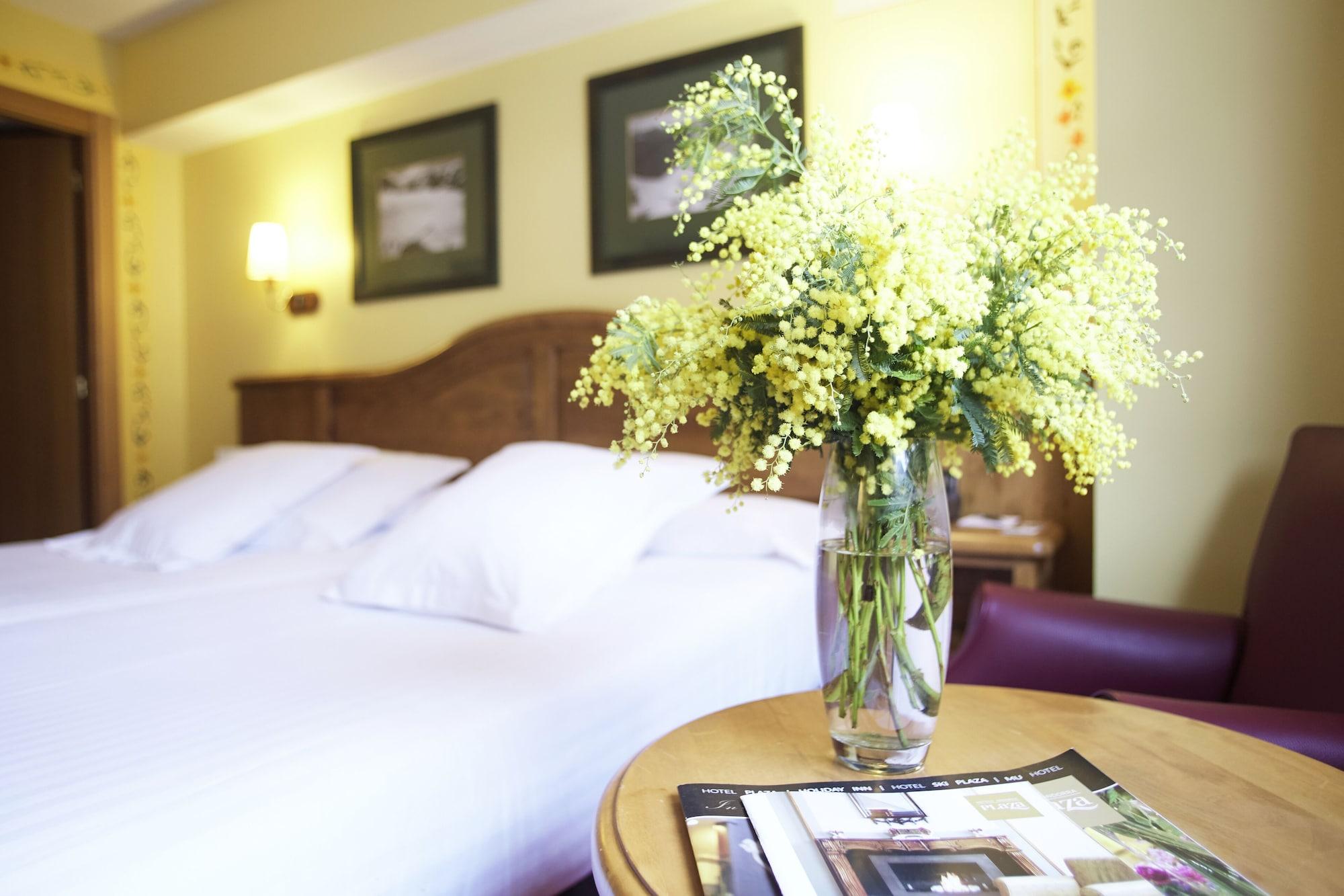 Plaza & Wellness Hotel