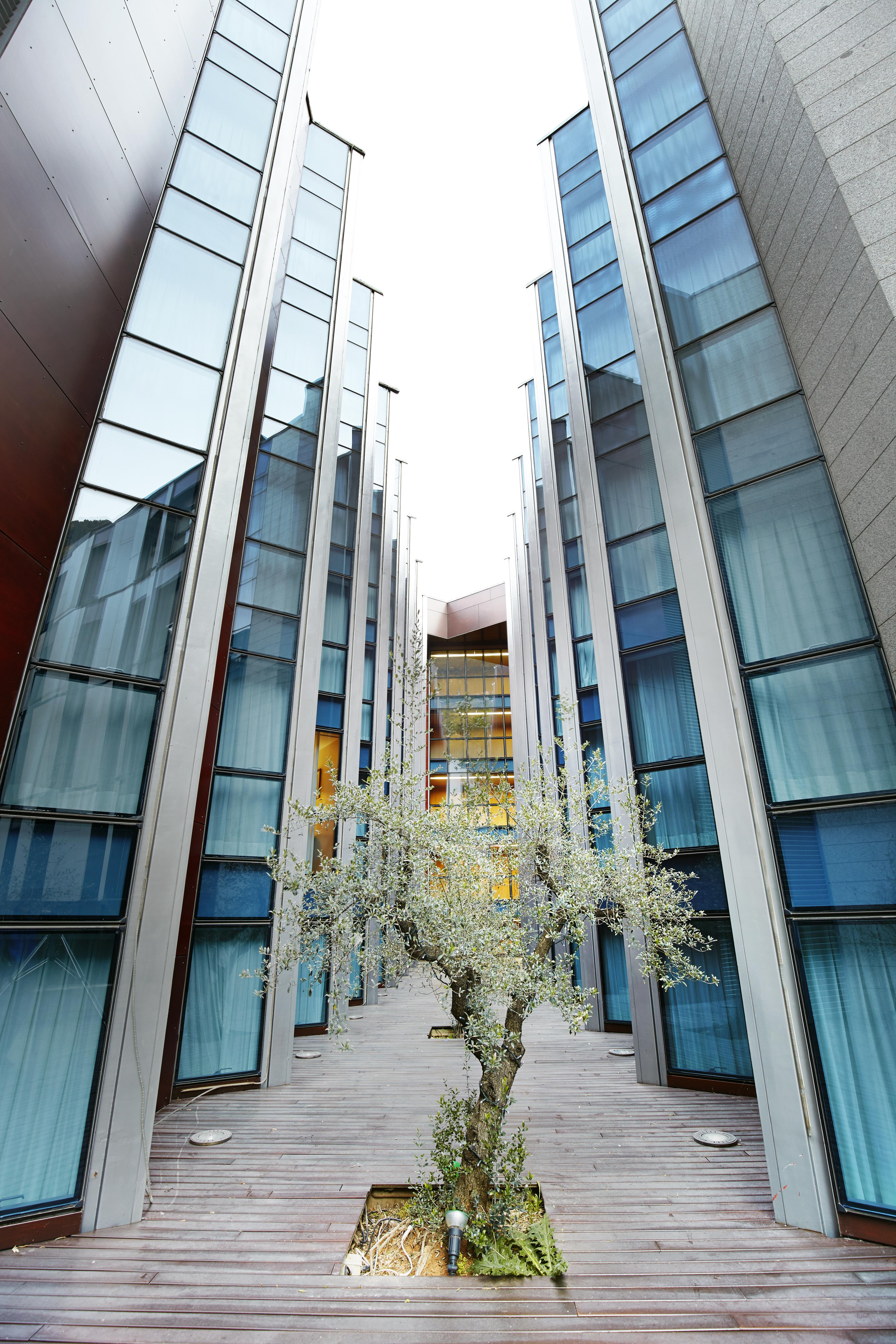 Hotel Hesperia 4*