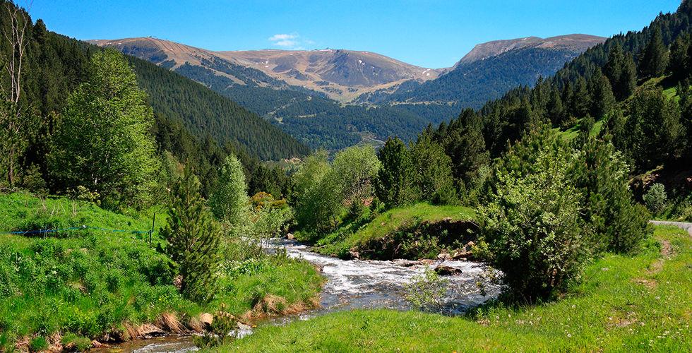 Termes Carlemany 4*