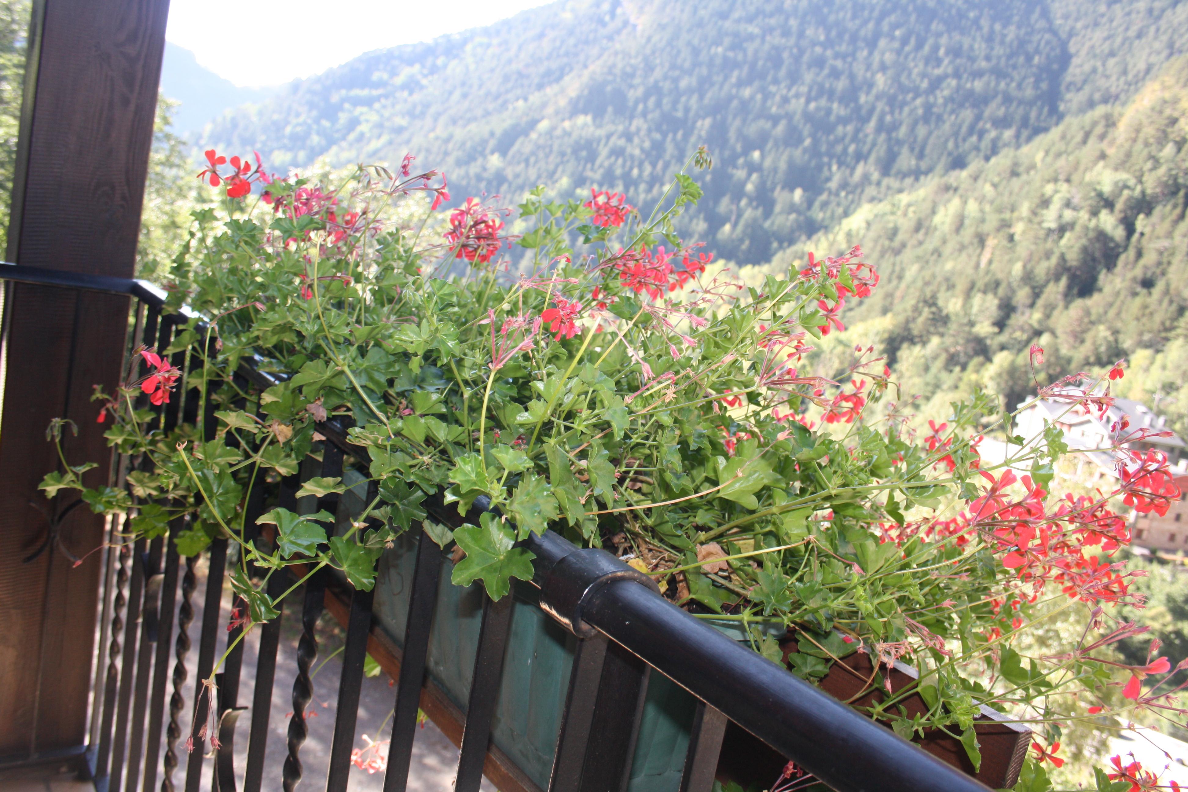 Xalet Besolí Hotel