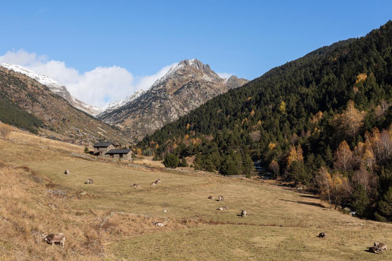 Andbnb I Duplex Rustico En Plena Naturaleza I Parking Gratis * Canillo