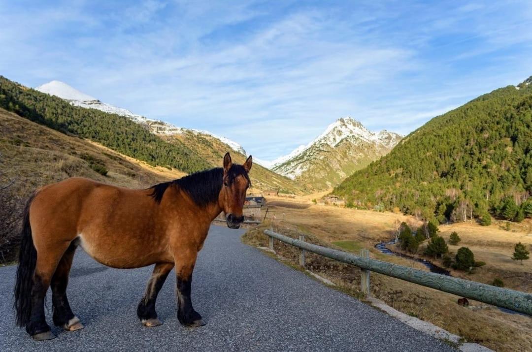 Apartamento S Valle De Incles- Grandvalira Free Parking *