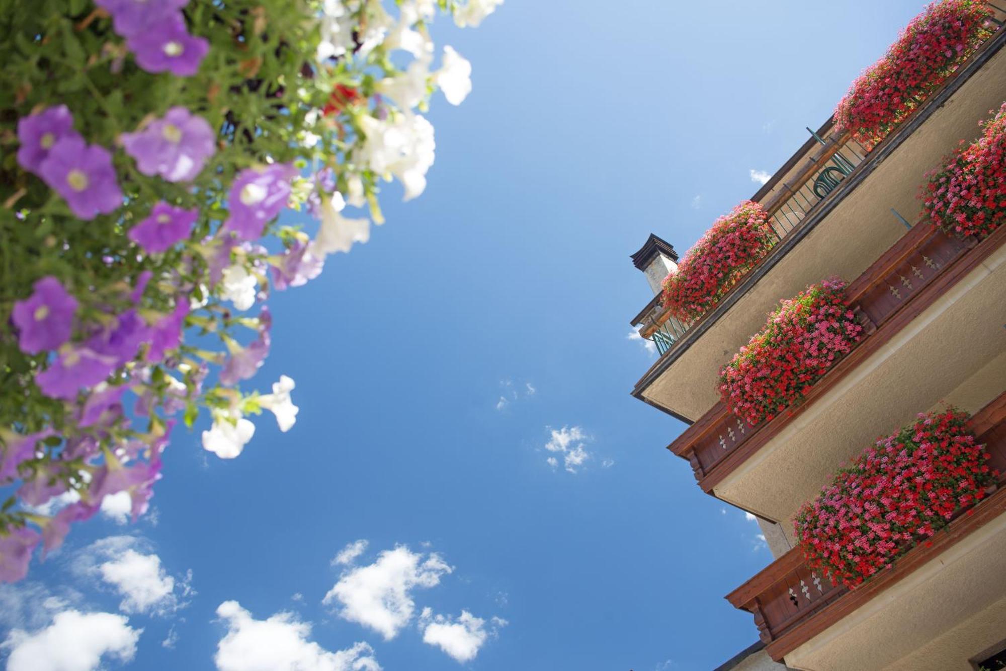 Hotel Rutllan &