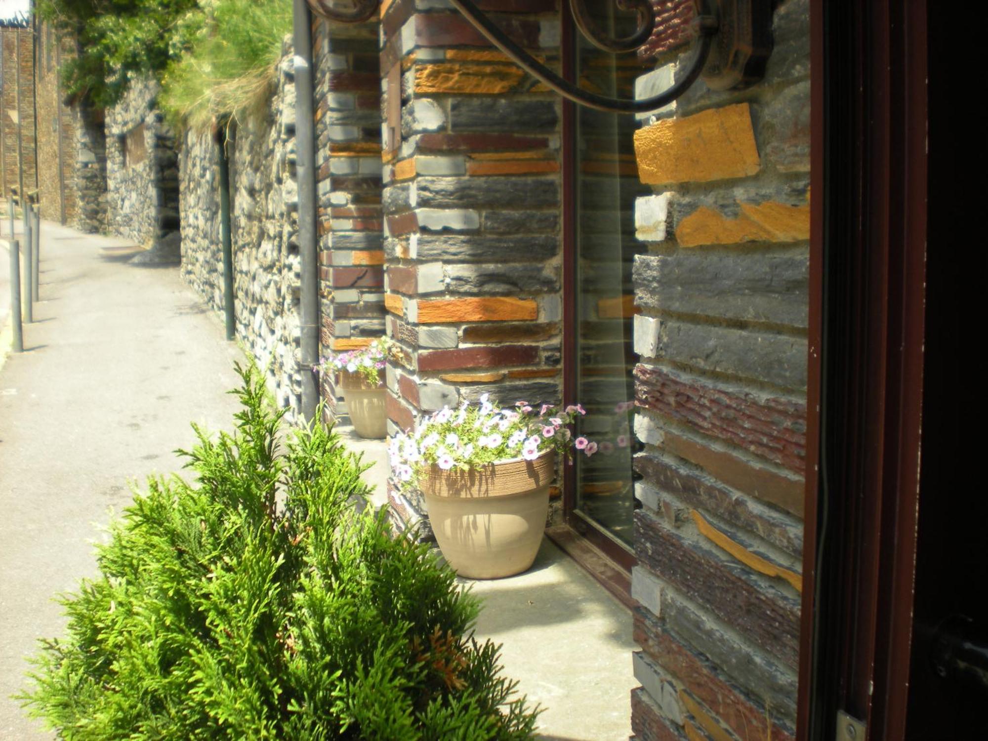 Montane Hotel Arinsal