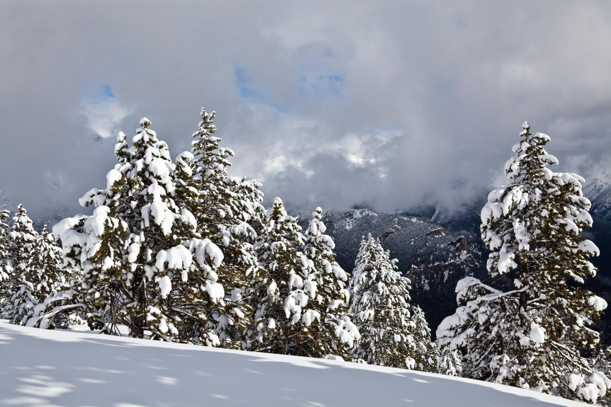Del Pui 3* La Massana
