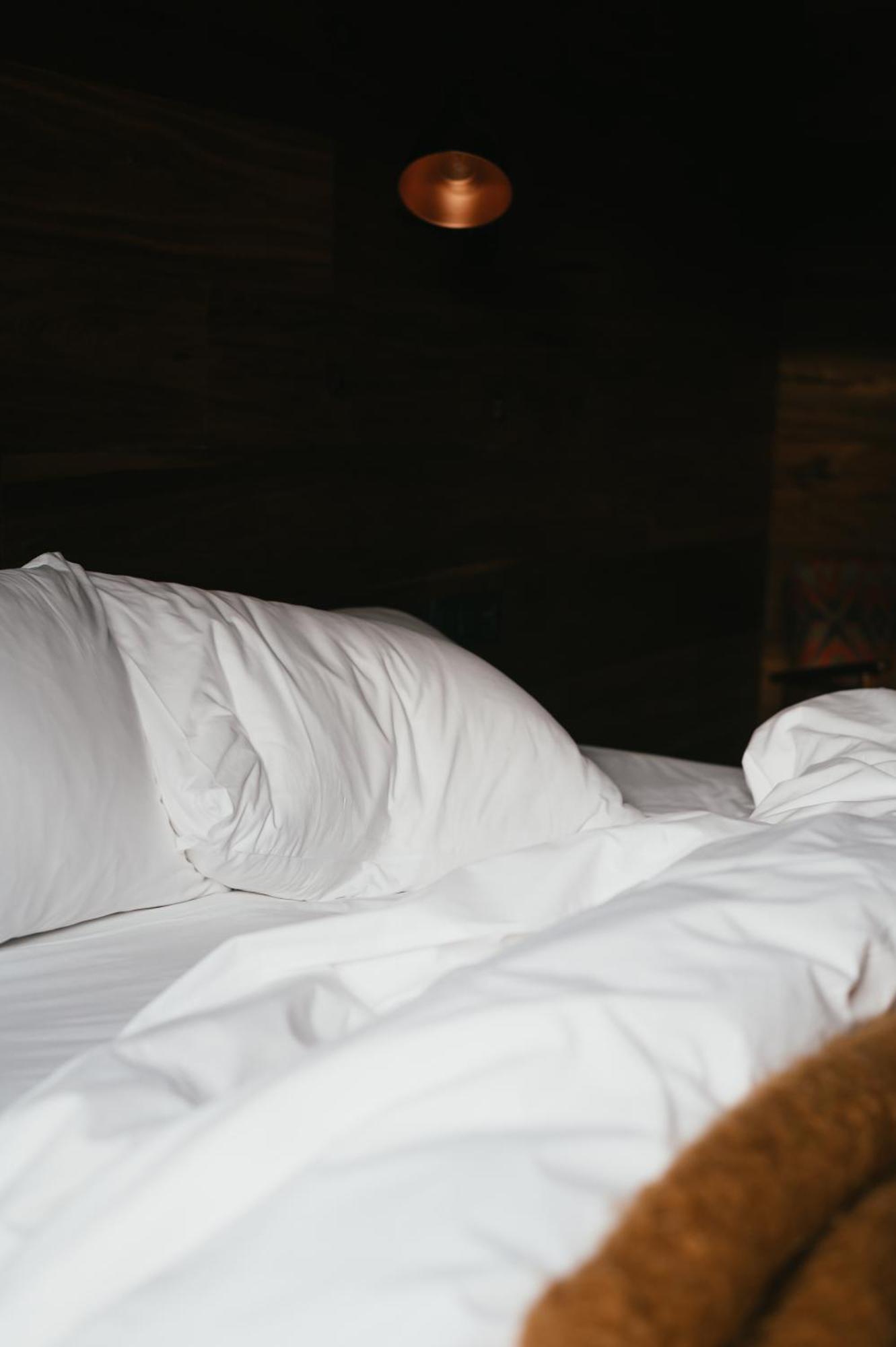 Hotel L'ovella Negra Mountain 3*