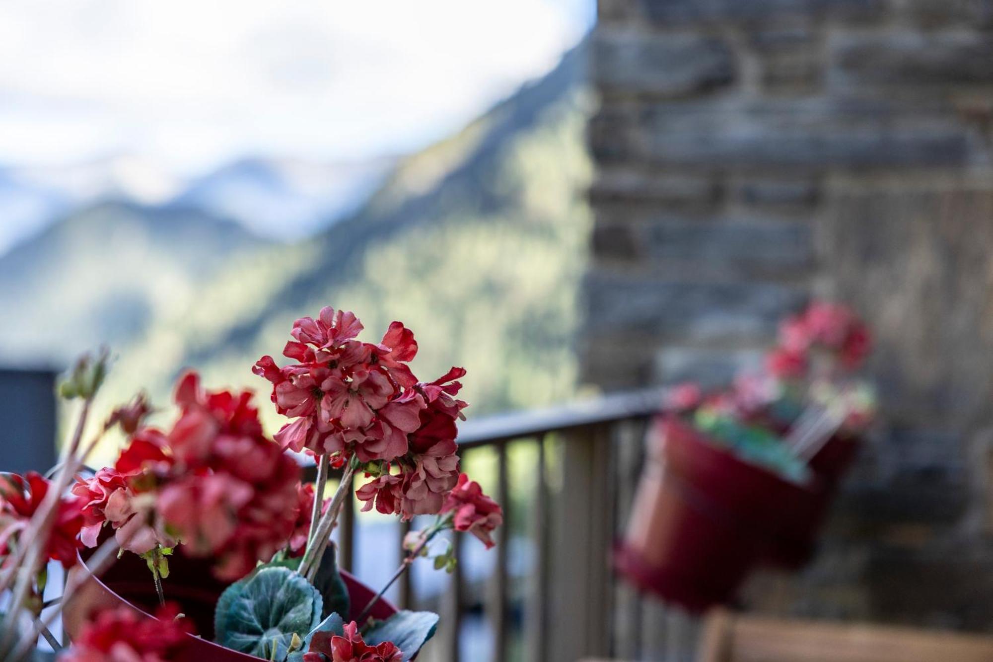 Terraza Con Increibles Vistas Para 6 Adultos Y 2 Extra Nino - 3 Habitaciones - 2 Banos - Arinsal - Free Parking L By Bonesvacances Apartment Arinsal