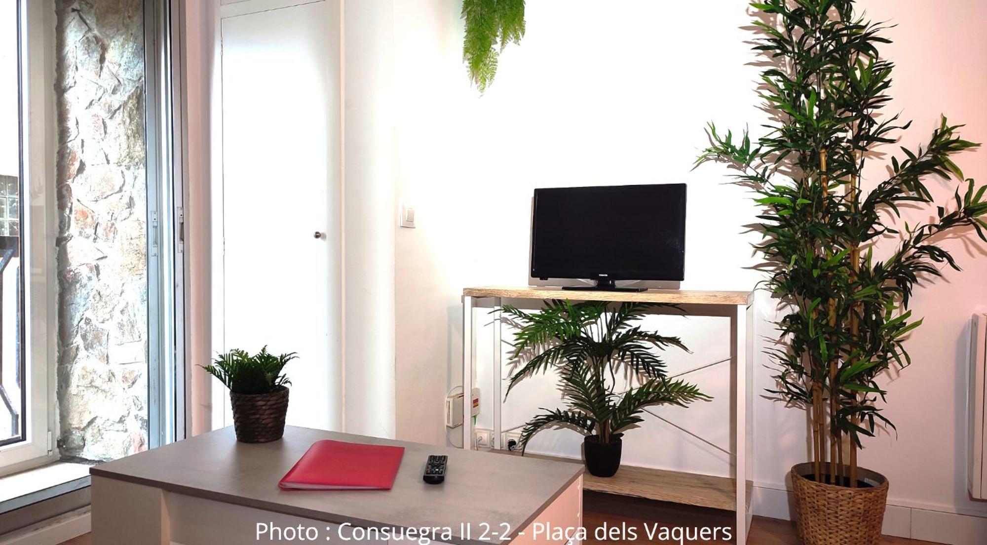 Ac Centre Apartamento Pas De La Casa