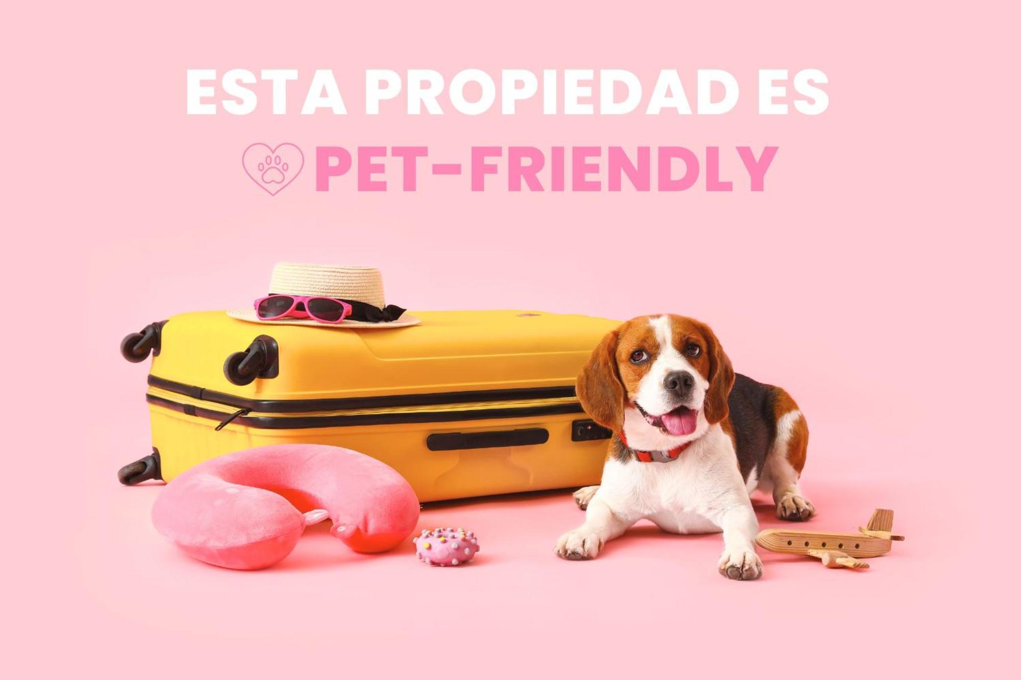 Andbnb I Retiro Bohemio Con Terraza, Parking Y Esqui *