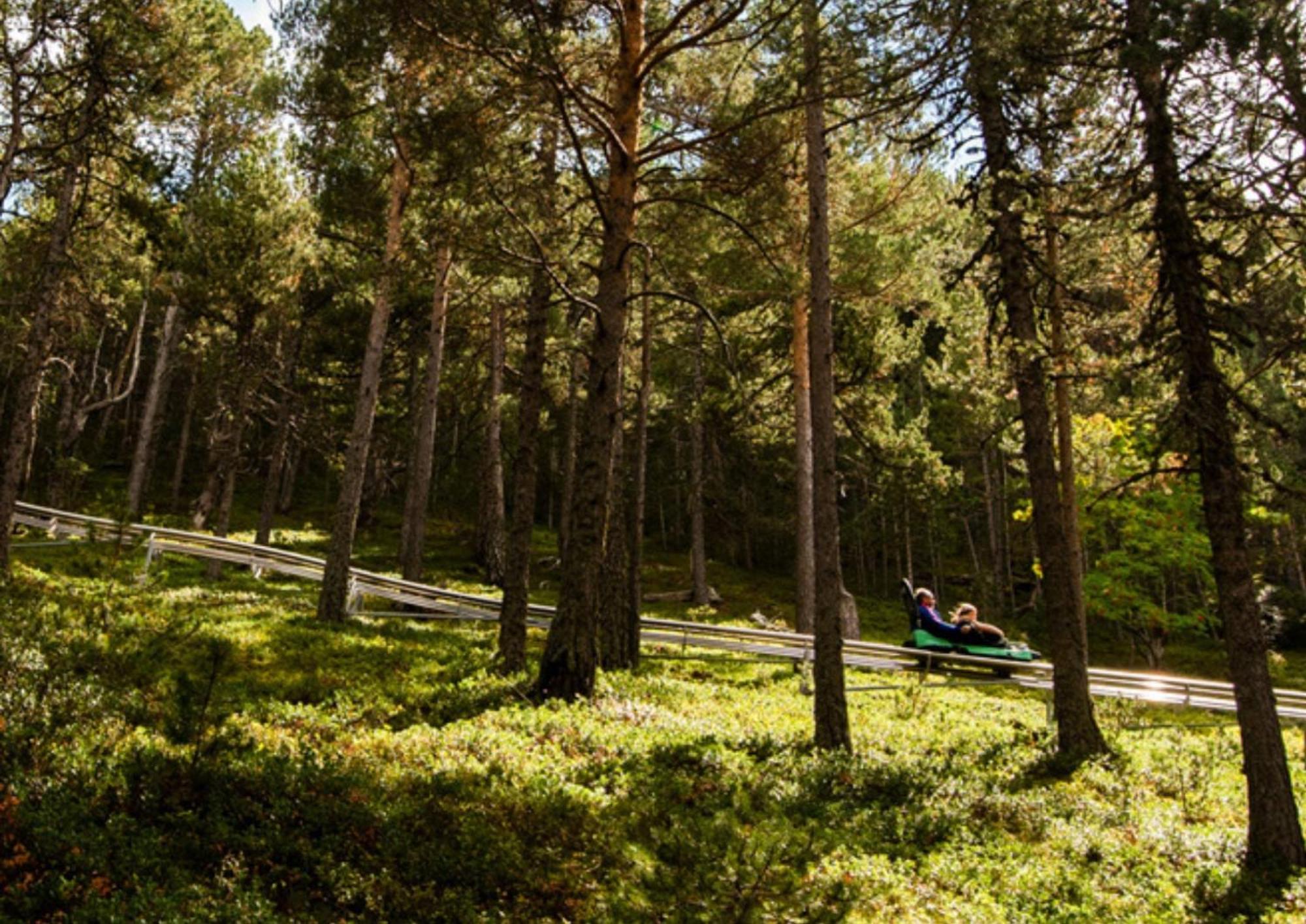 Moderno A Pie De Pistas 4pax, Pk Gn Arinsal