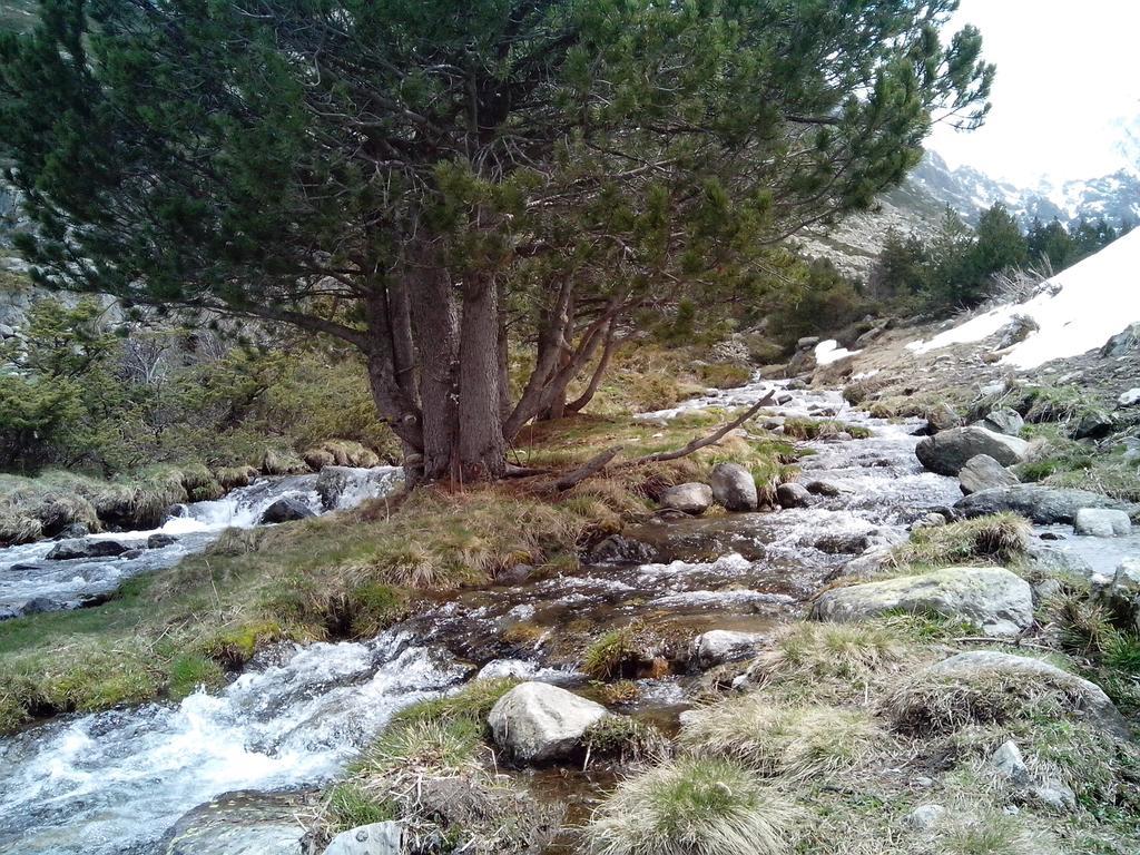 Incles Novell 2 Apartamento
