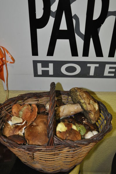 Hotel Yomo Petit Paris