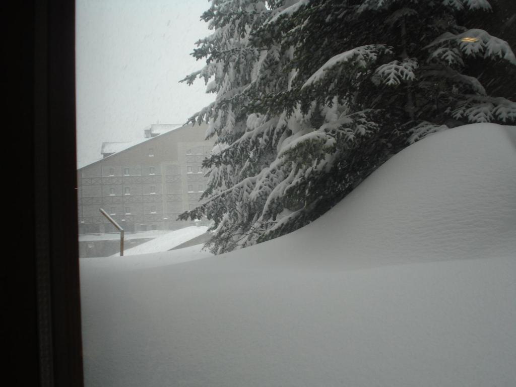 Hotel Maistre 3*