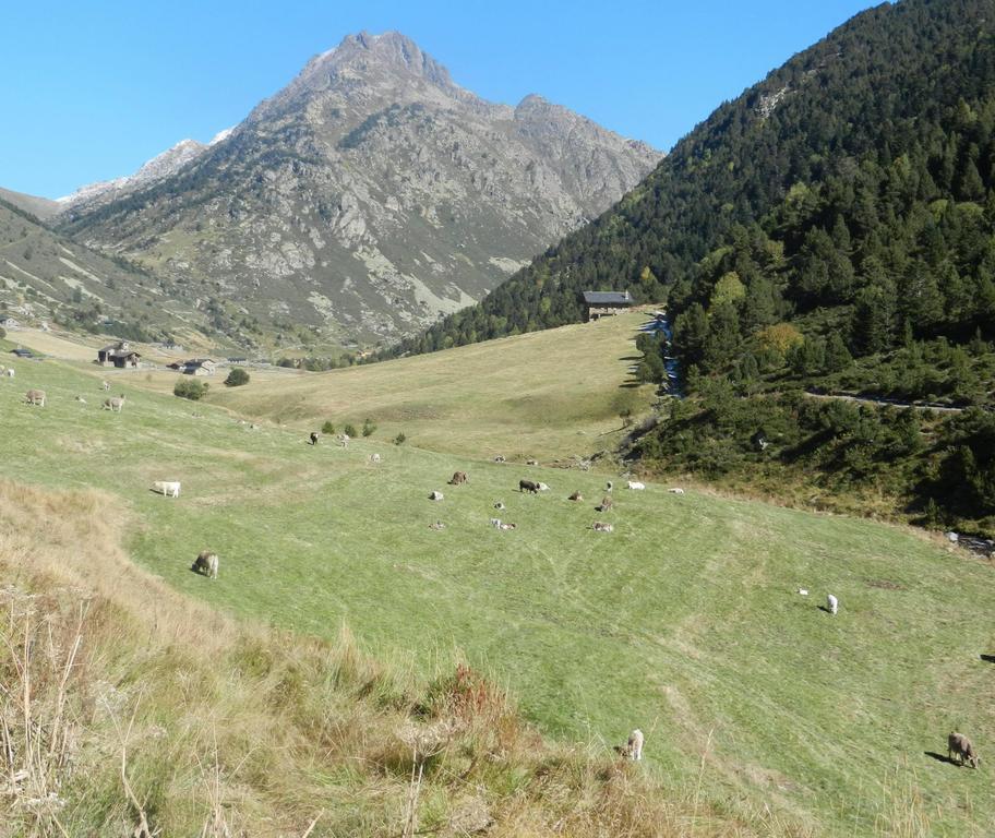 Hotel Peretol Soldeu