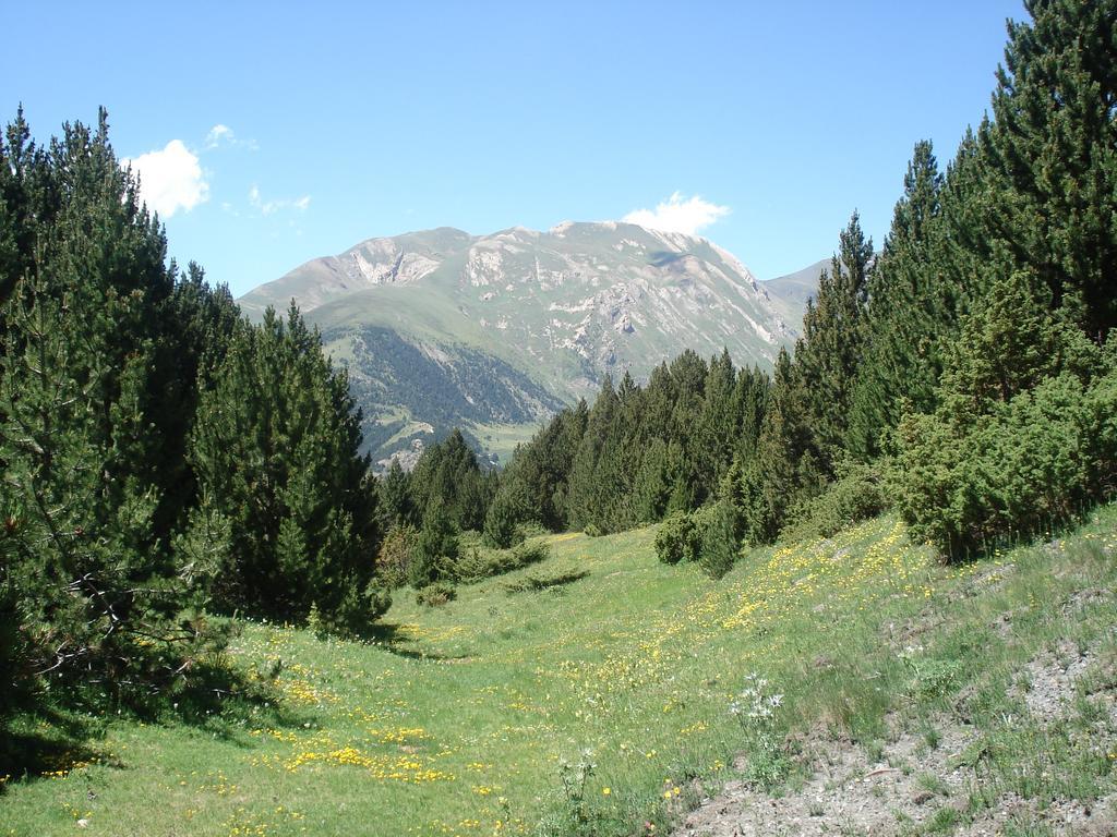 Xalet Riba - Hut 8077