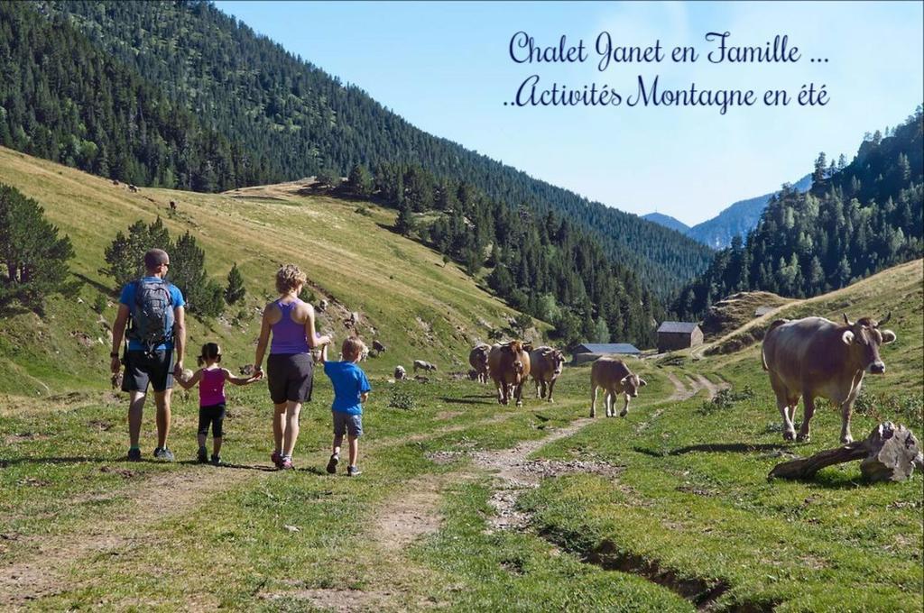 Chalet Janet Erts Aparthotel La Massana