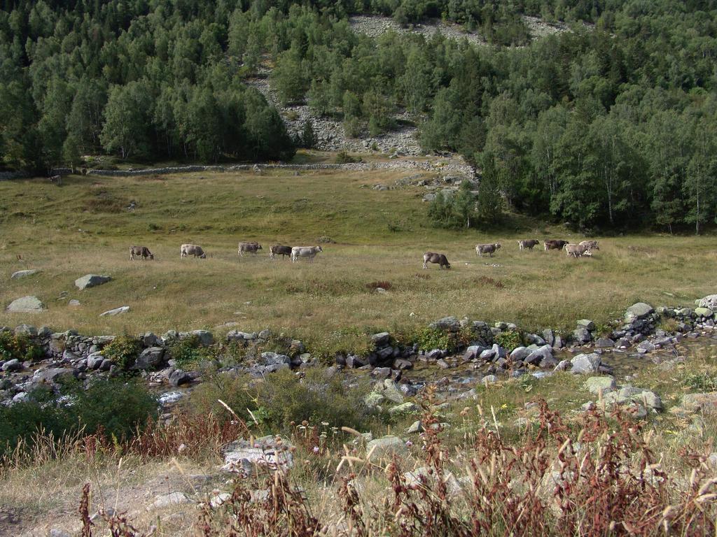 Apartamento Incles Novell 2 Canillo