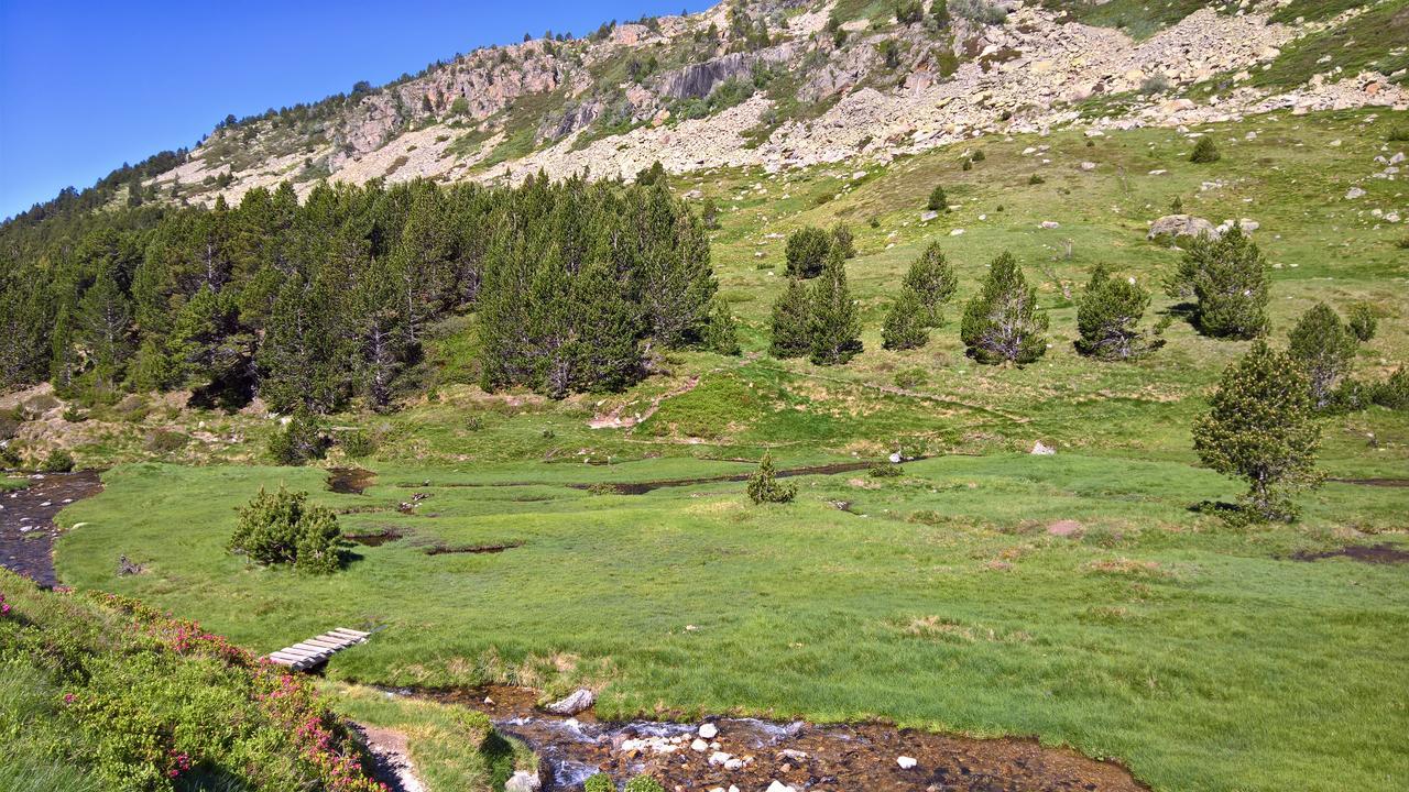 Apartamento Incles Novell 2 Canillo