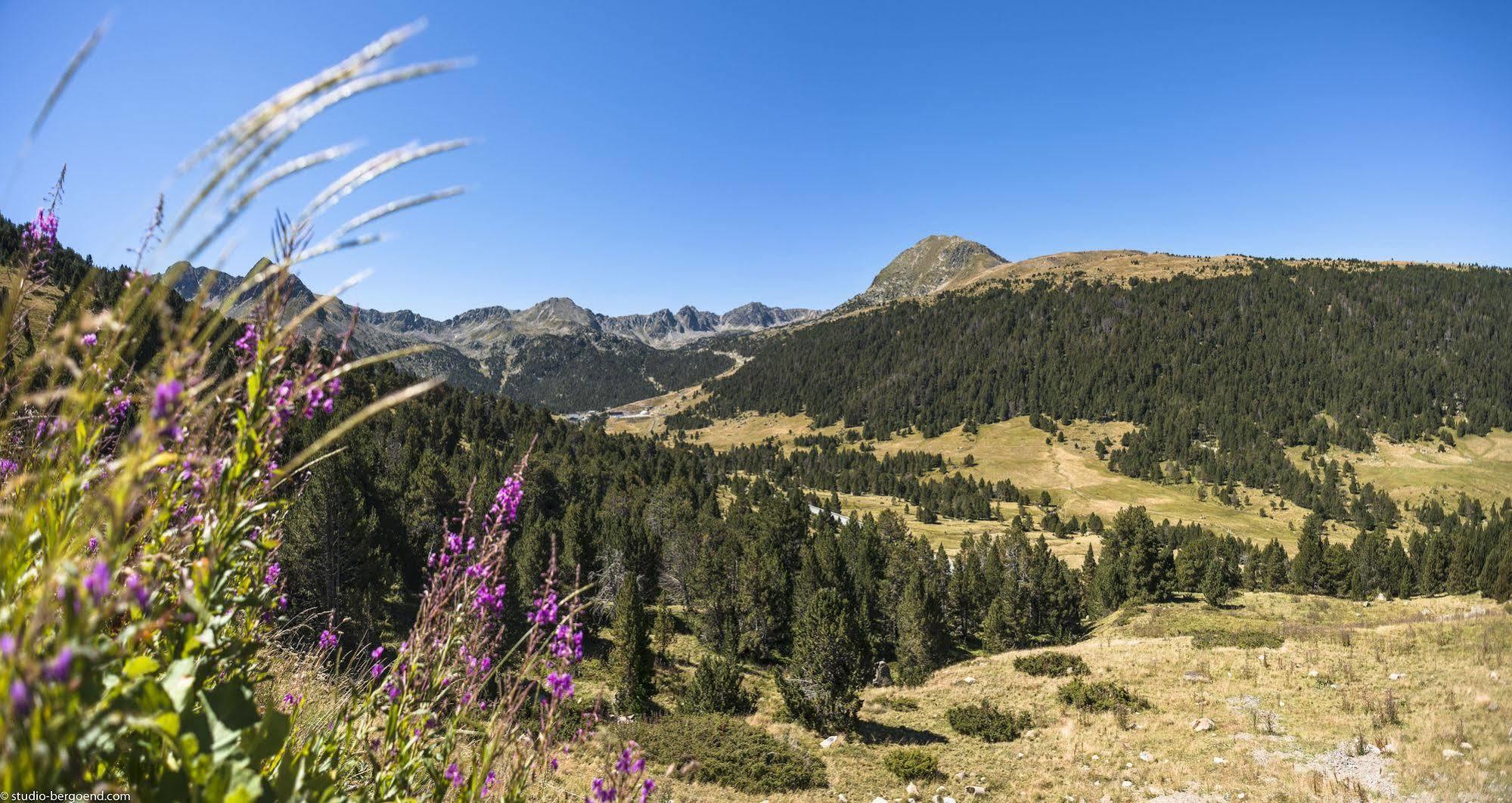 Pierre & Andorra Apartment Bordes d'Envalira