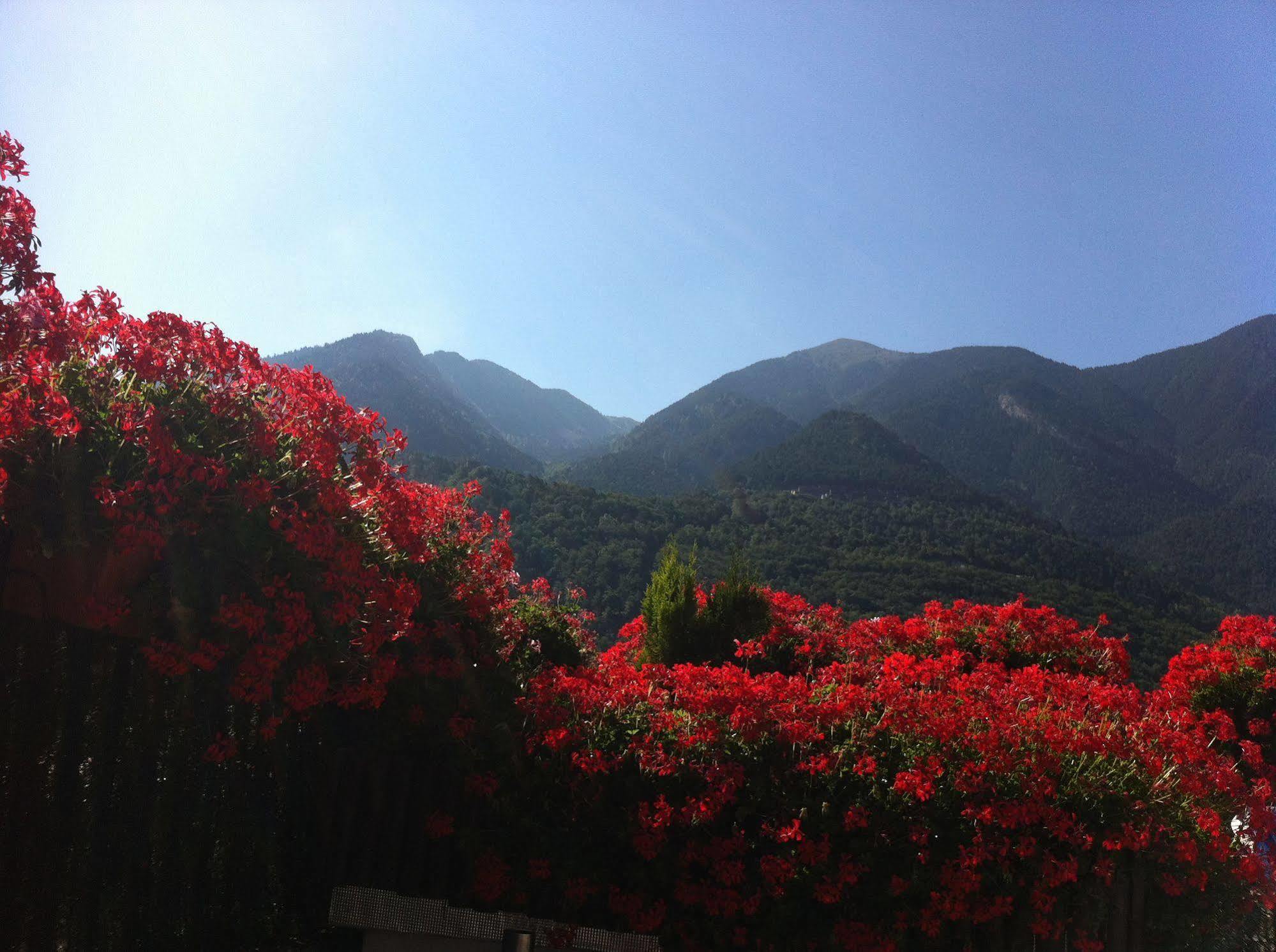Hotel Pyrénées 3*
