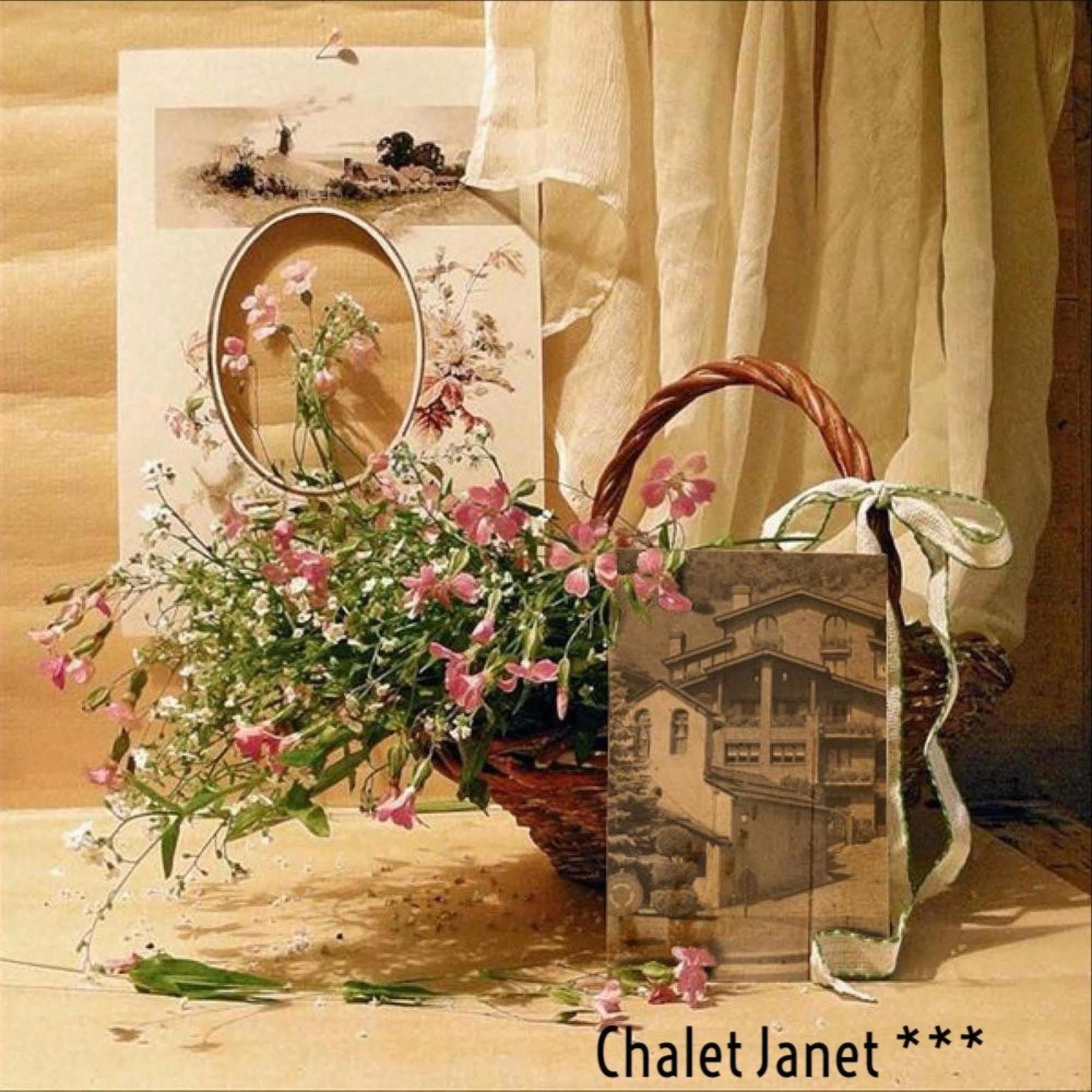 Aparthotel Chalet Janet Erts