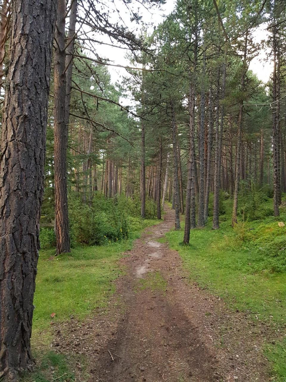 Camp Del Serrat