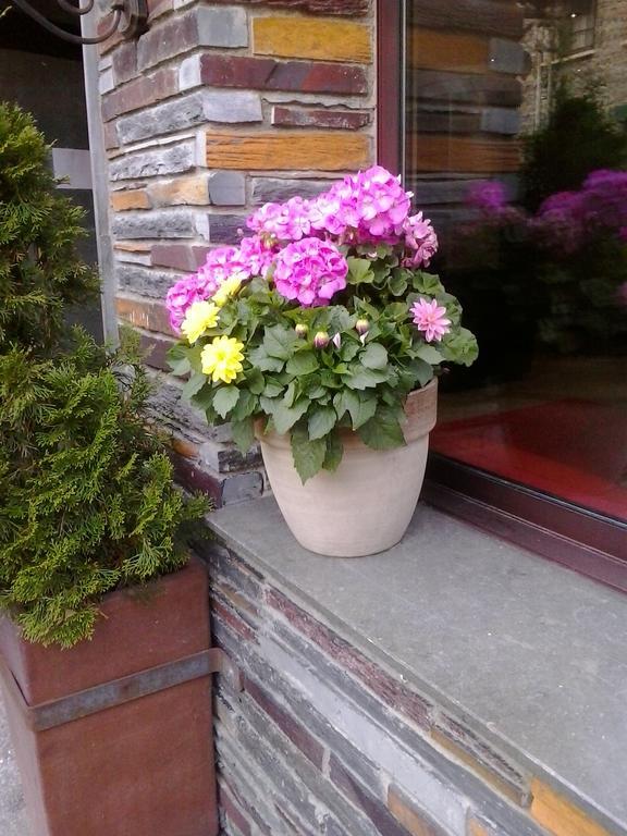 Montane Hotel