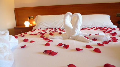 Hotel & Niunit El Serrat