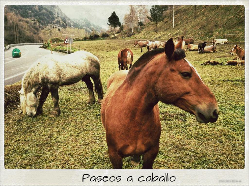 Sant Miquel 3* Andorra la Vieja