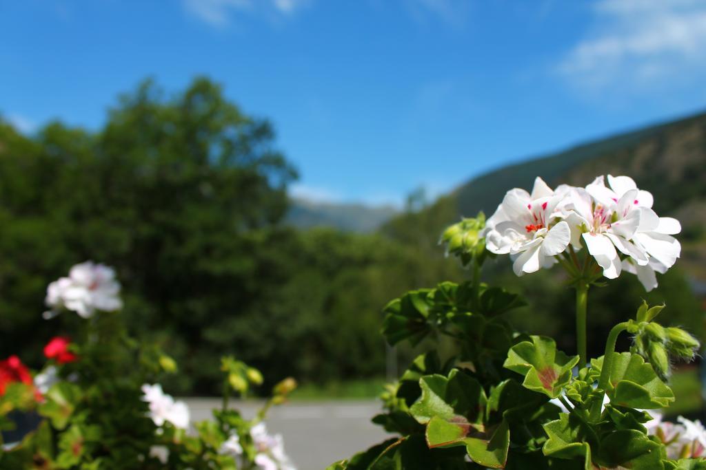 Hotel Holastays La Ordino