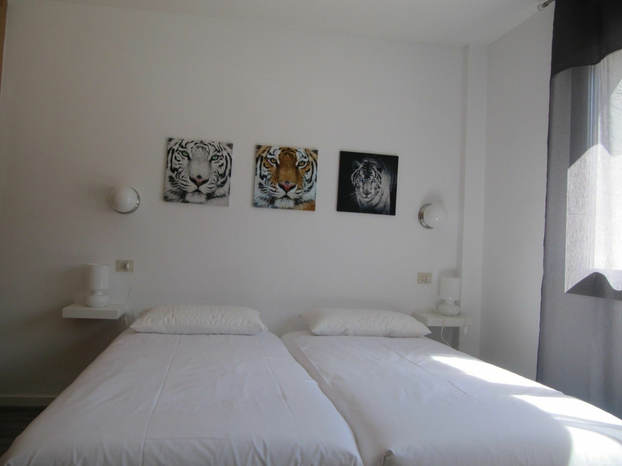 Vitivola Casa Nova Ros *