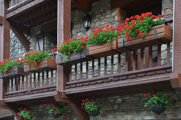 Hotel Del Tarter 3*