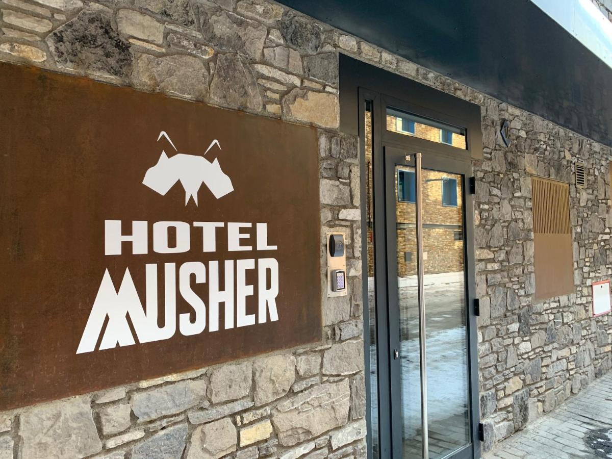 Hotel Musher 3*